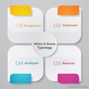 Miles and Snow's Strategy Typology