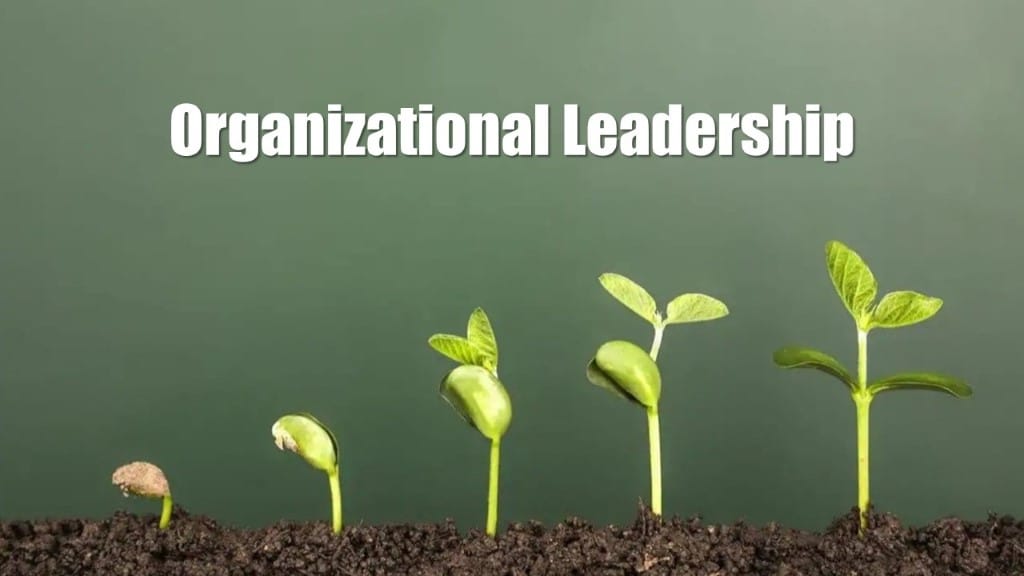 رهبری سازمانی (Organizational Leadership)